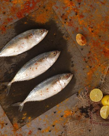 Small Fish sea food