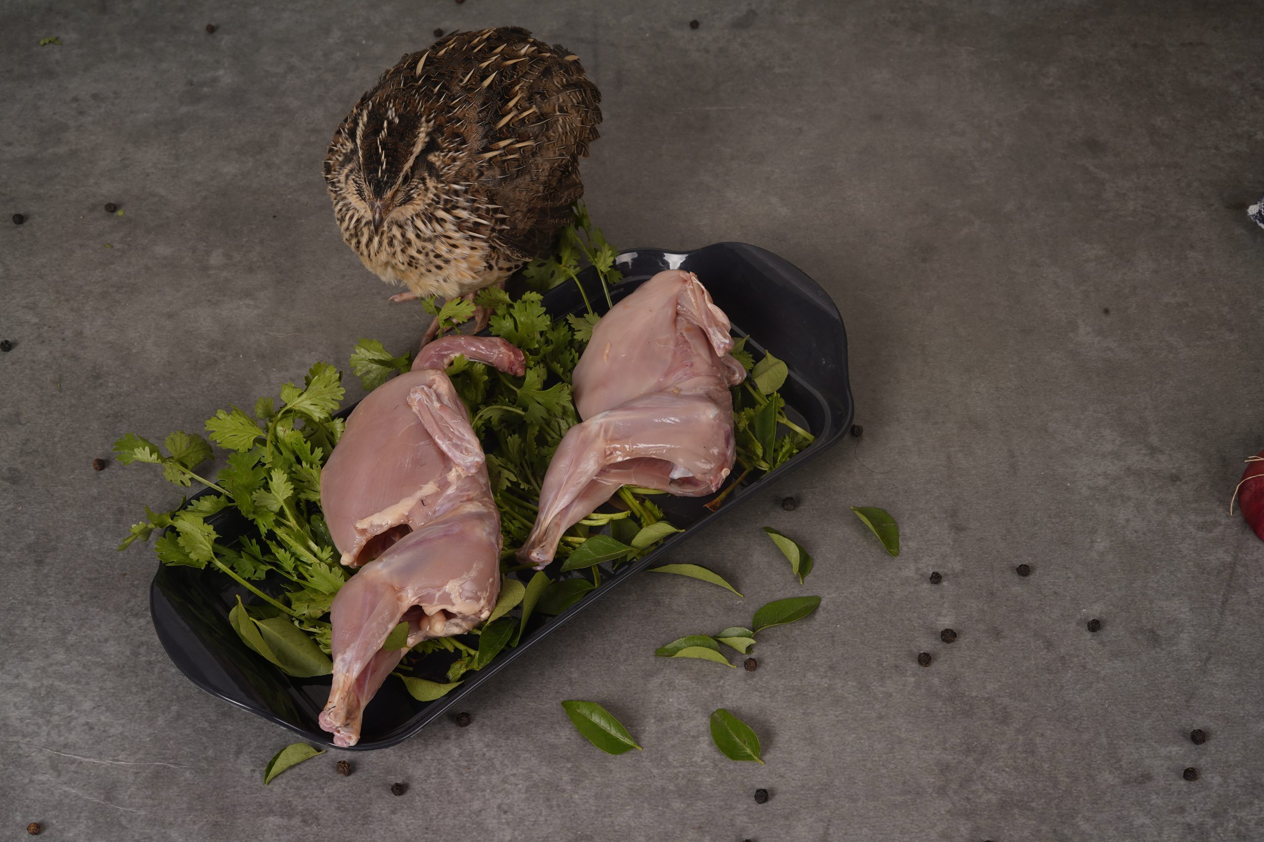 Quail or Teetar fresh