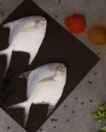 Silver or White pomfret